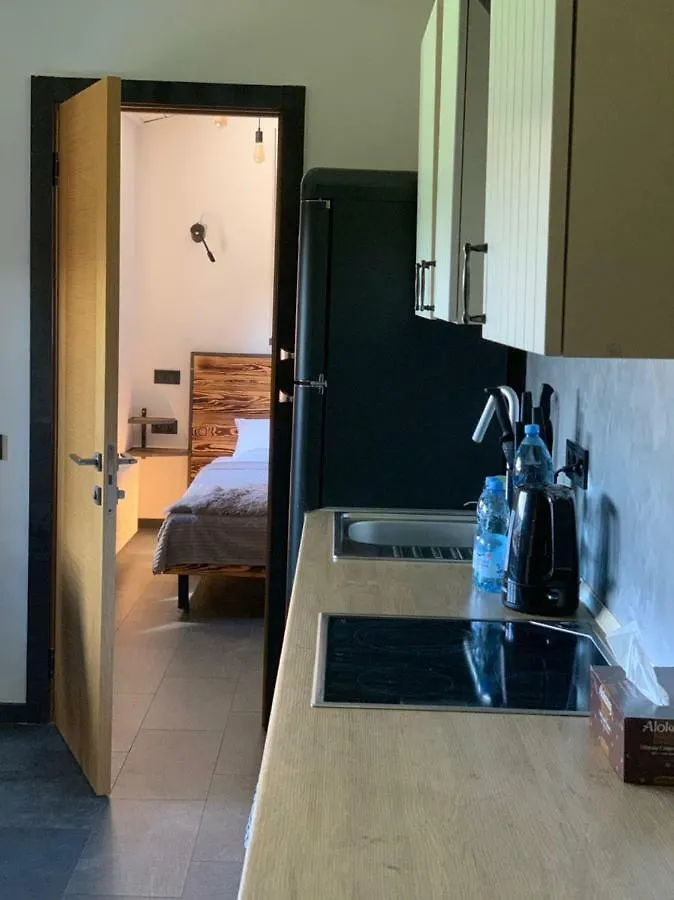 Air Loft Apartment Киев Украина